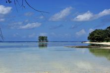small island with trees la digue seychelles.jpg